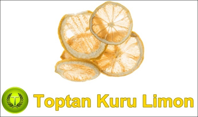 kurtulmus-limon